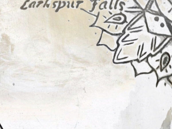 L’espoir jamais confirmé de Larkspur Falls